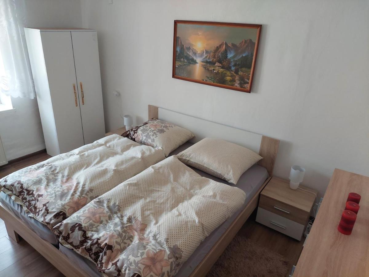Vaclavskeho Apartment Medzilaborce Dış mekan fotoğraf