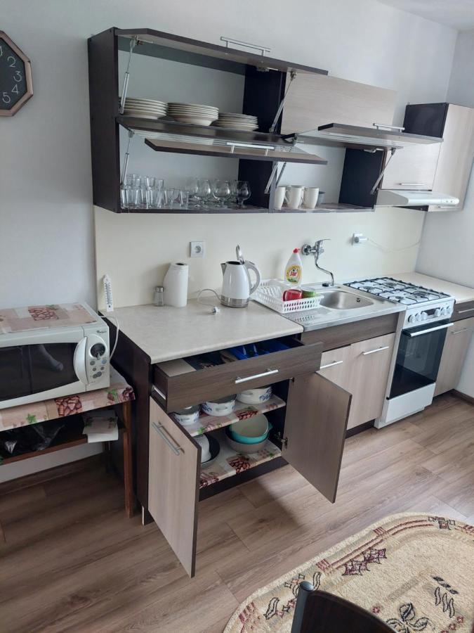 Vaclavskeho Apartment Medzilaborce Dış mekan fotoğraf
