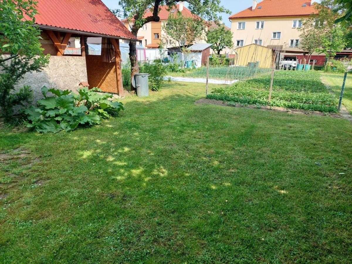 Vaclavskeho Apartment Medzilaborce Dış mekan fotoğraf
